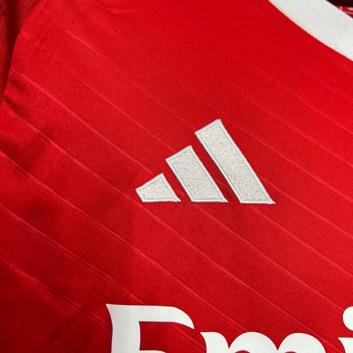 Benfica Principal 24/25