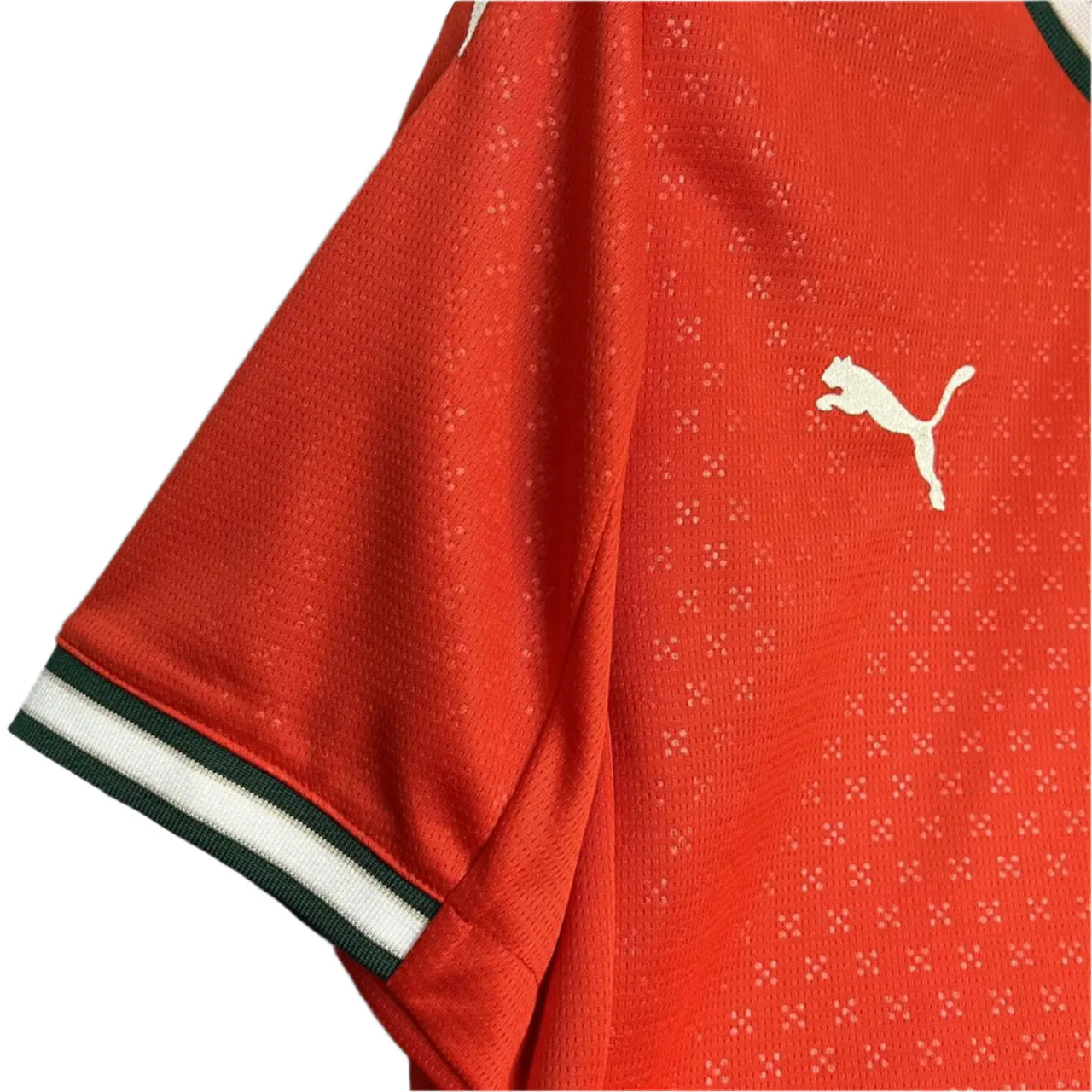 Portugal Principal 25/26 - Liga das Nações 2025 - DIOGO J. 21