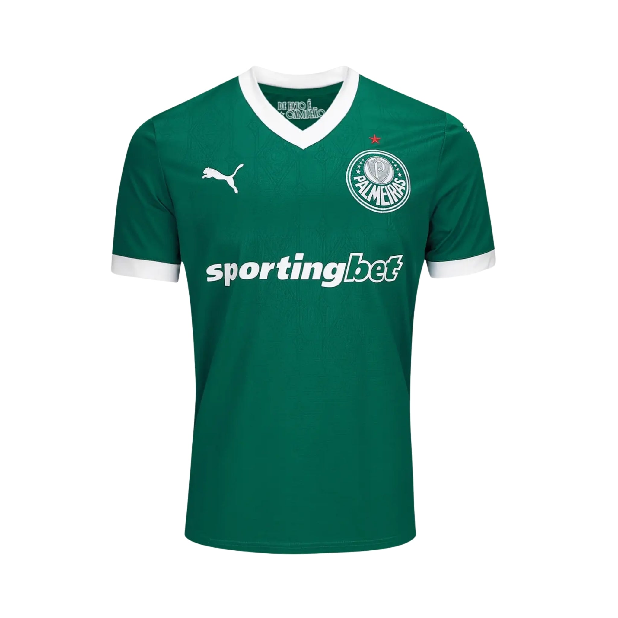 Palmeiras Principal 25/26