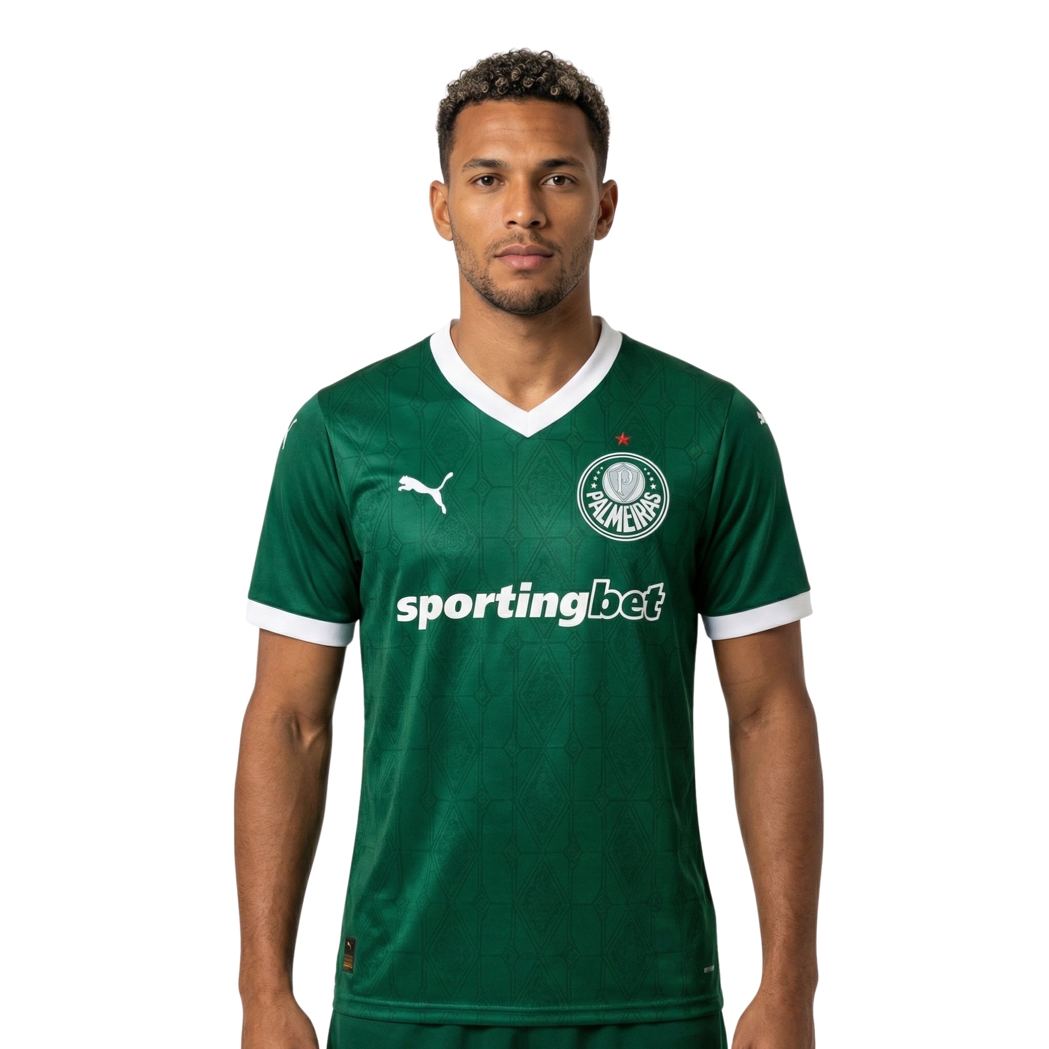 Palmeiras Principal 25/26