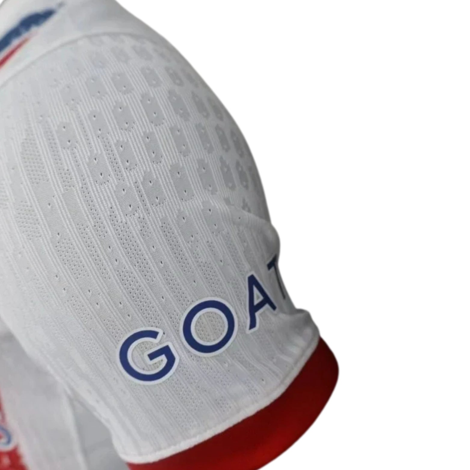 PSG Alternativa 24/25 - Versão Jogador