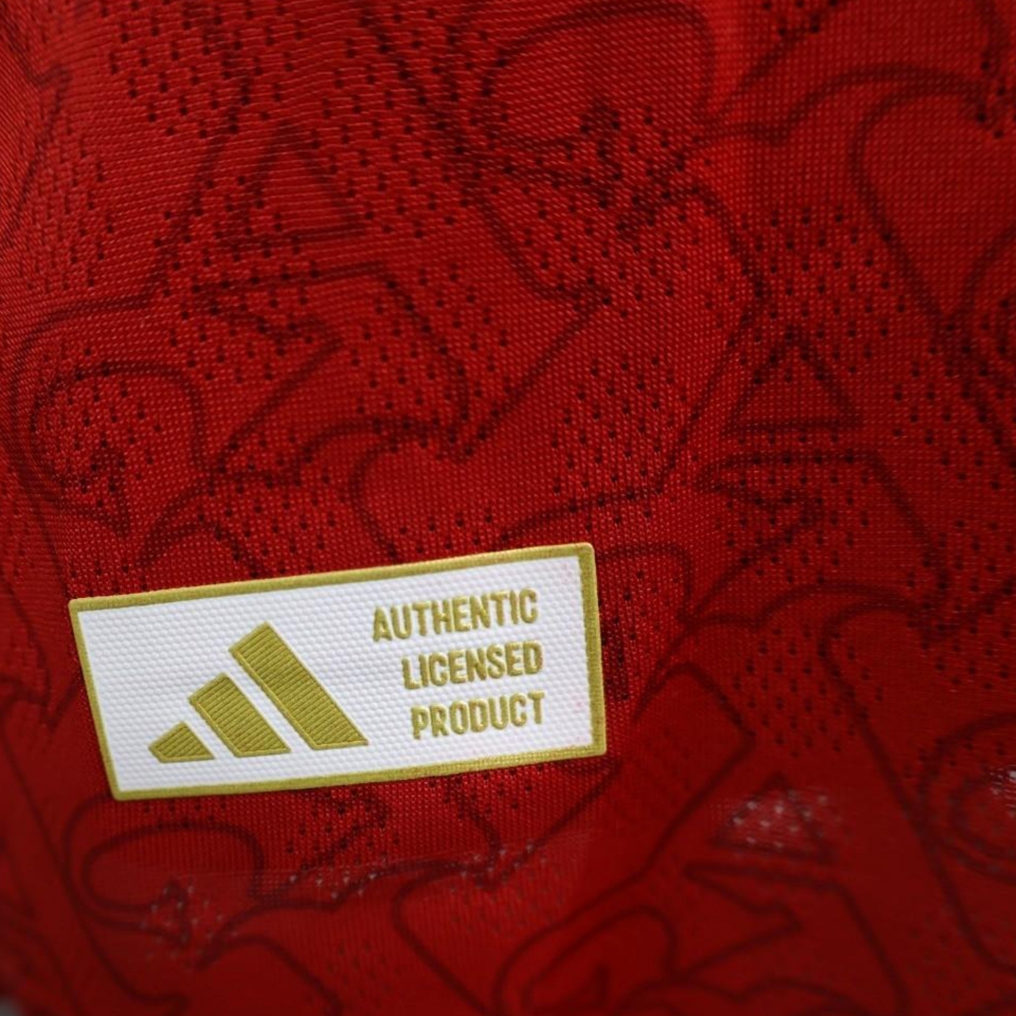 Arsenal Principal 25/26 - Manga Comprida - Versão Jogador