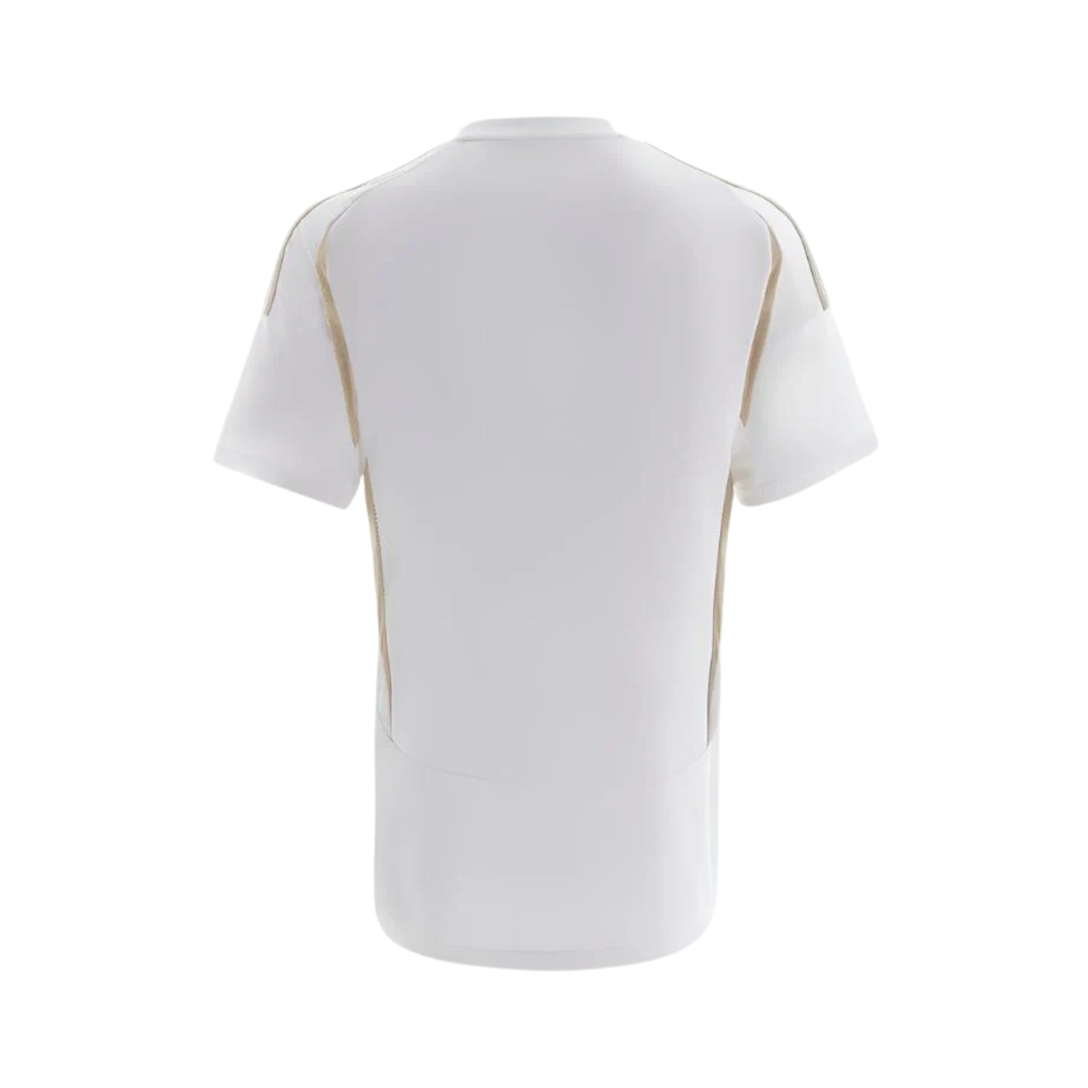 Al-Nassr FC Terceiro 24/25