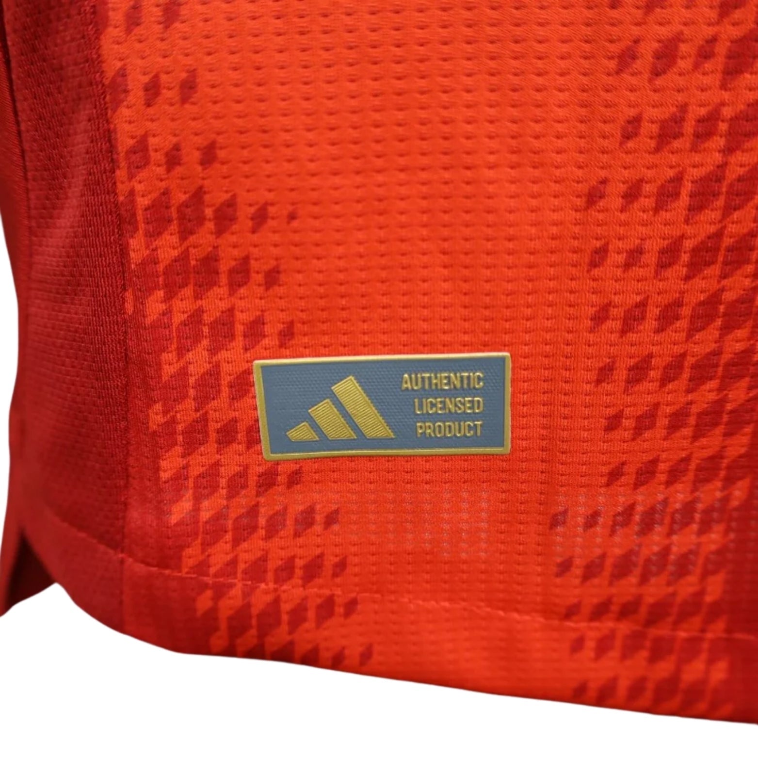 Bayern Munique Principal 24/25 - Versão Jogador