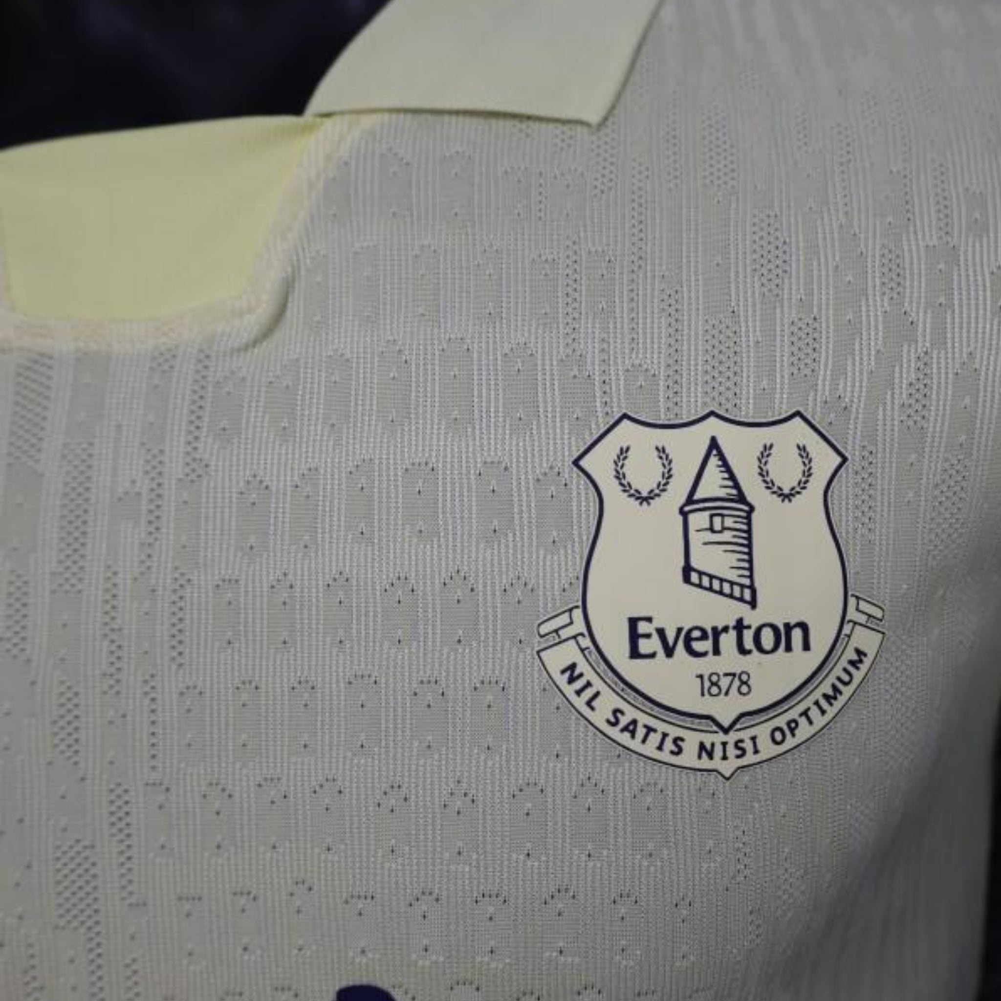 Everton Terceiro 25/26 - Versão Jogador