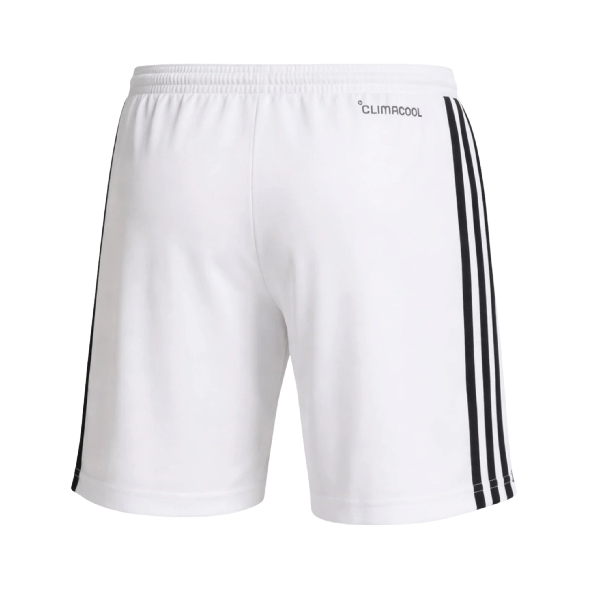 Calções - Bélgica Alternativa 26/27