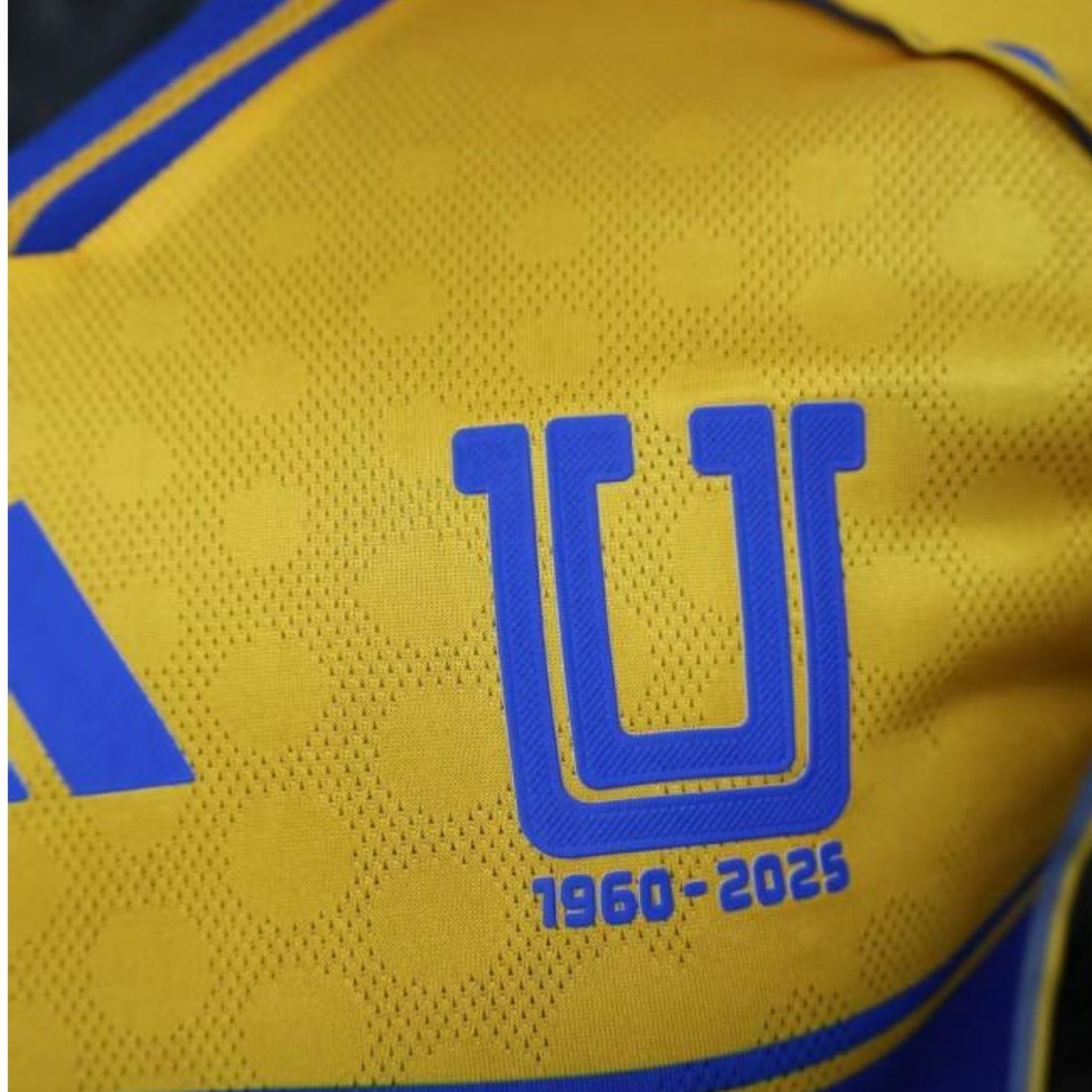 Tigres Principal 25/26 - Versão Jogador