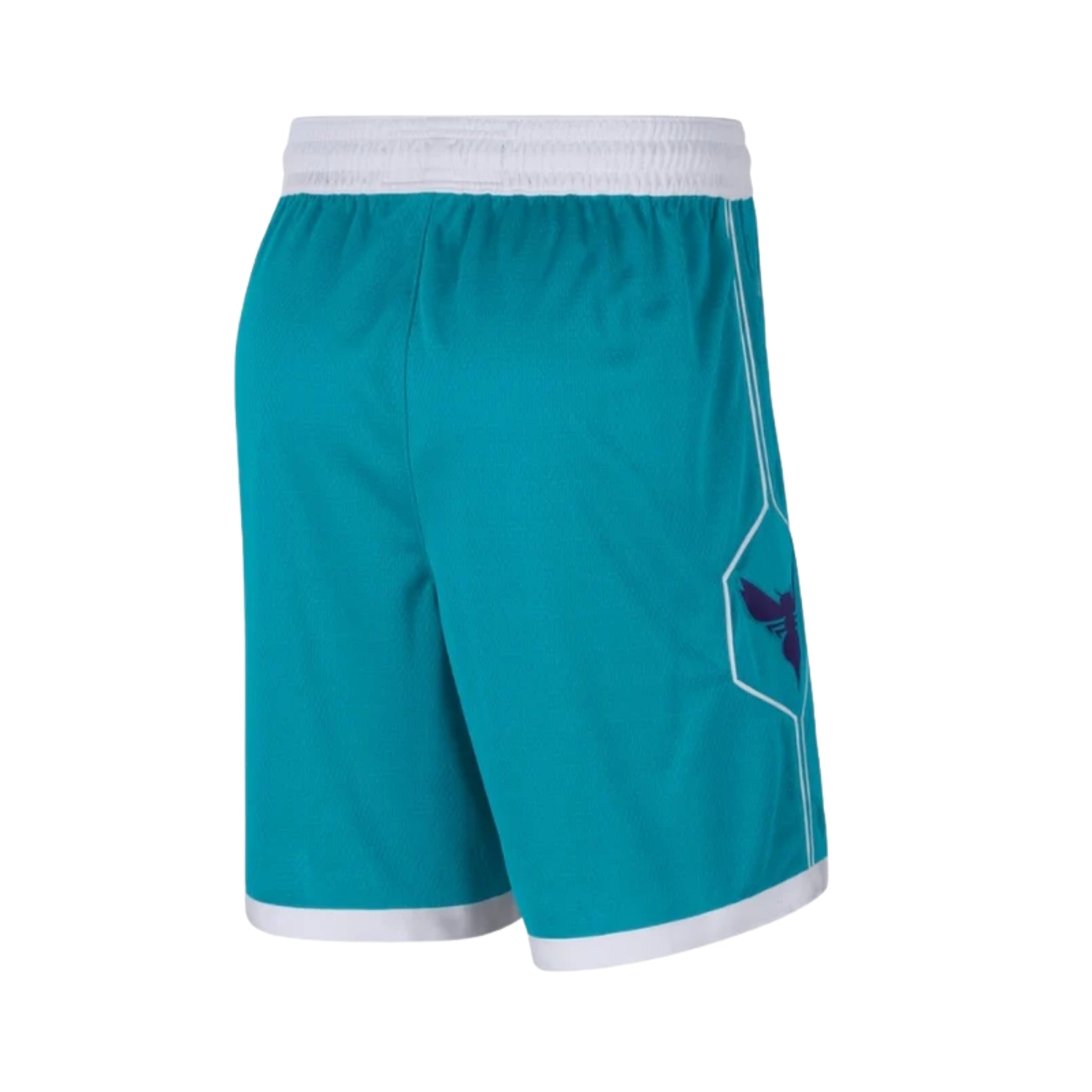 Charlotte Hornets Icon Edition 25/26