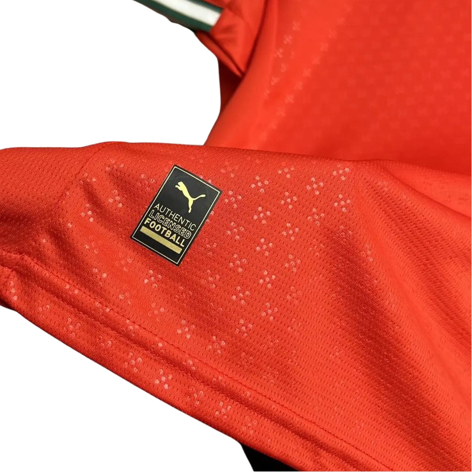 Portugal Principal 25/26 - Liga das Nações 2025 - DIOGO J. 21