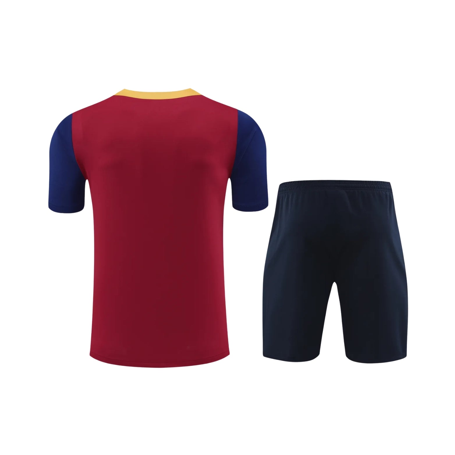 Training Kit - Barcelona 24/25