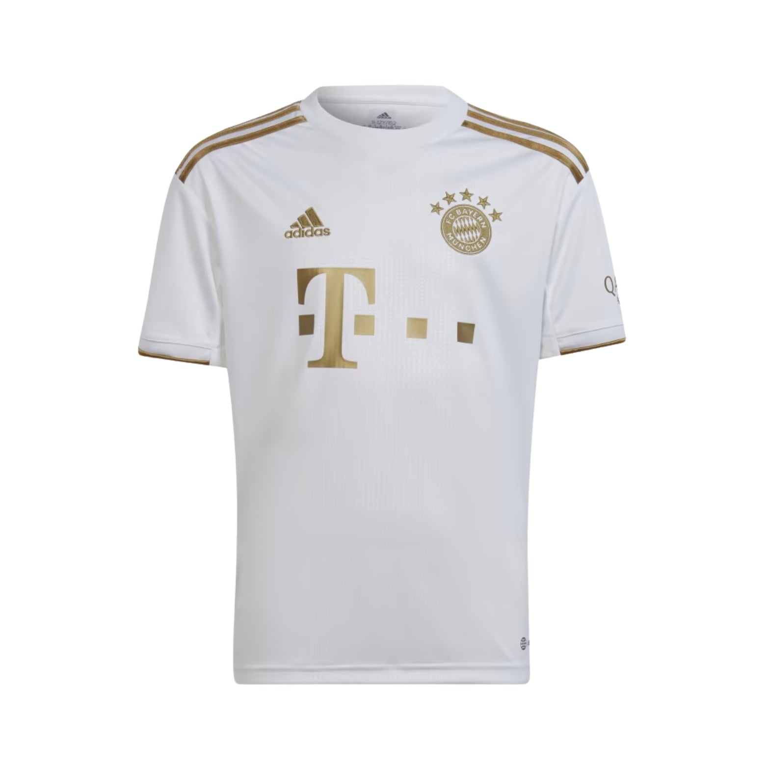 Bayern Munique Alternativa 22/23