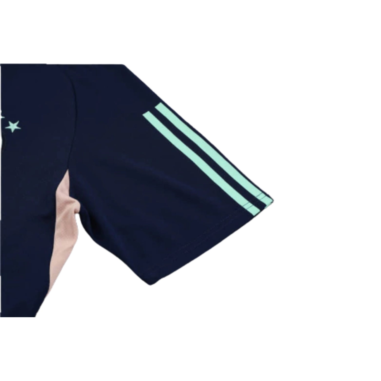 Equipamento de Treino - Ajax 24/25