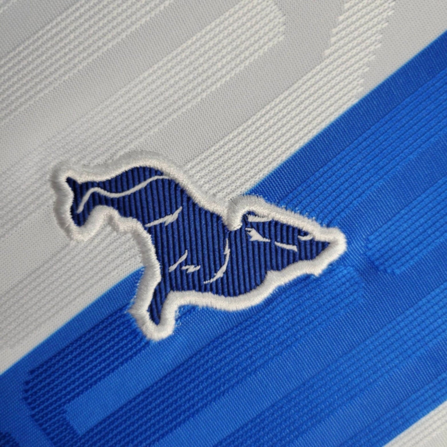 Paysandu Principal 24/25 - Versão Feminina