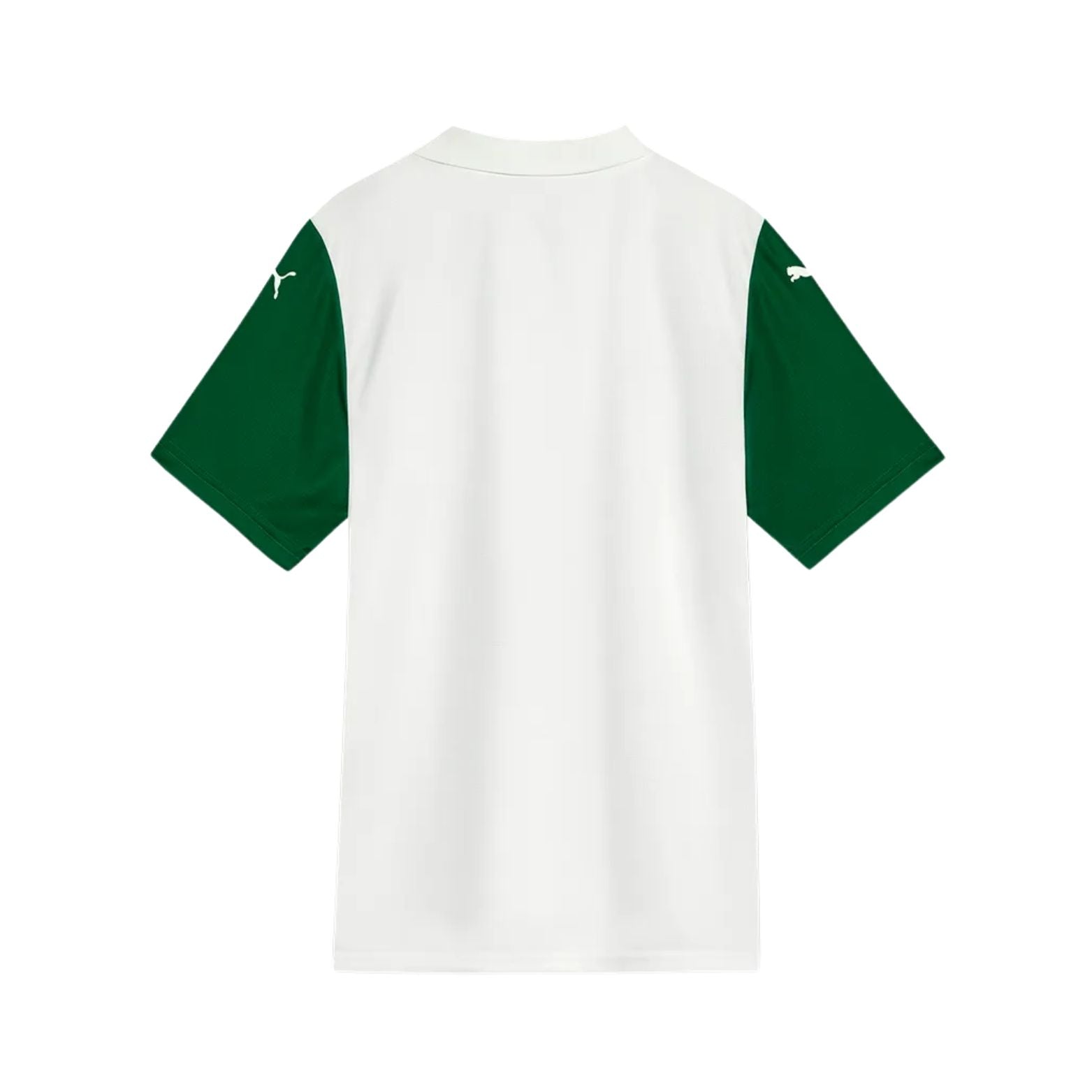Palmeiras Alternativa 25/26