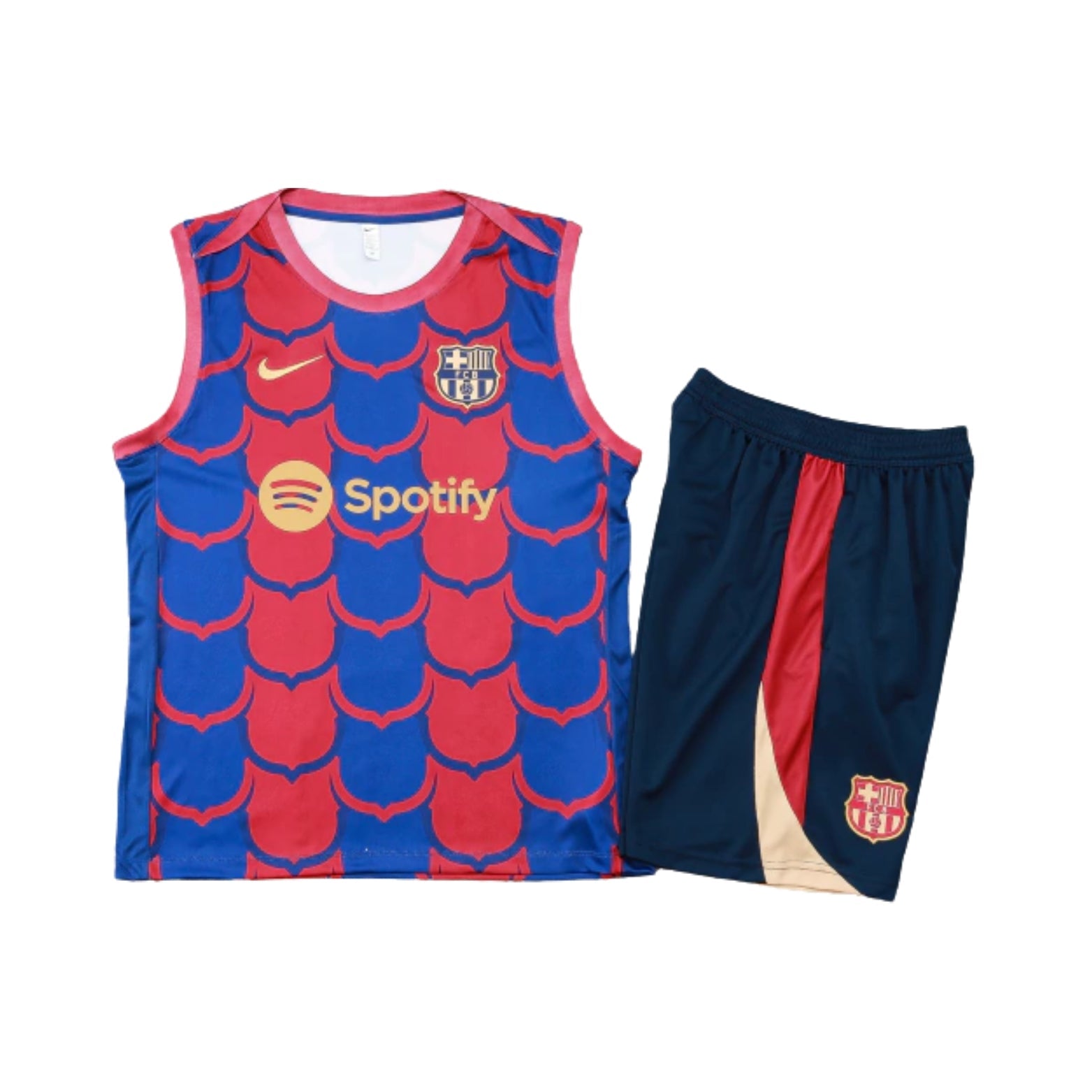 Equipamento de Treino - Barcelona 24/25 - Manga Cava