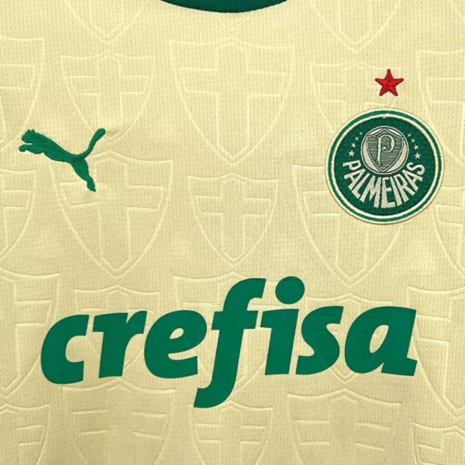 Kit de Criança - Palmeiras Terceiro 24/25