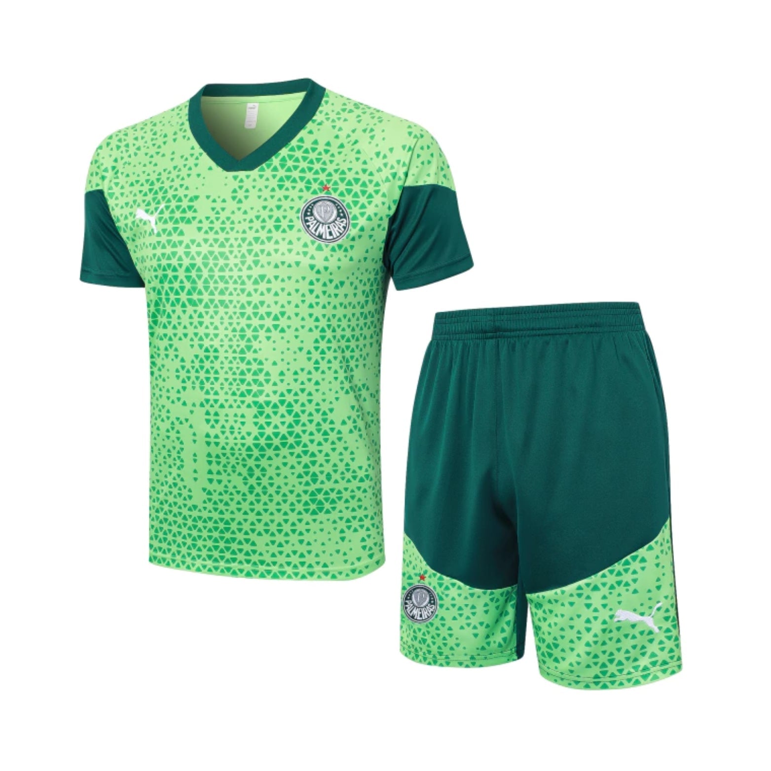 Equipamento de Treino - Palmeiras 24/25