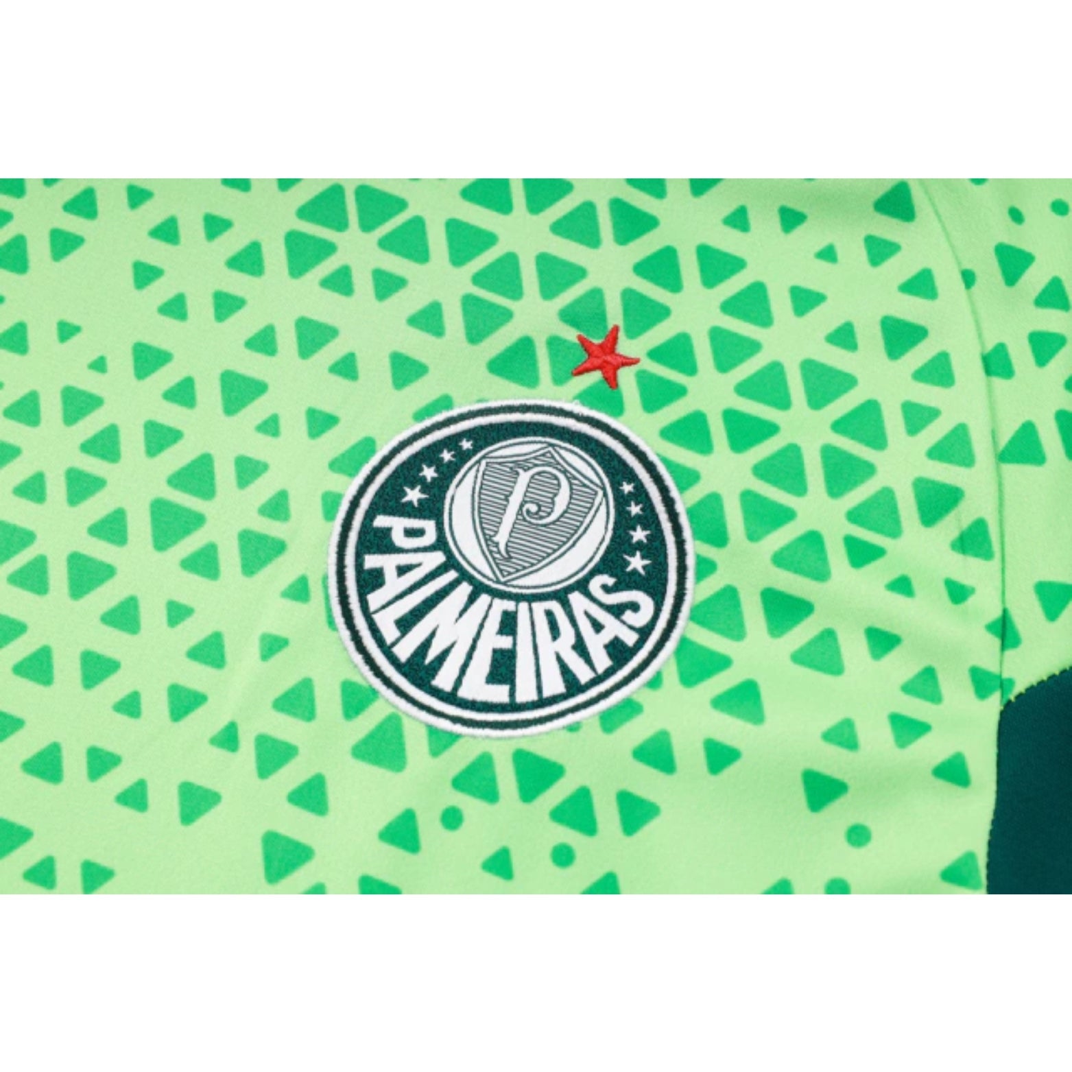 Equipamento de Treino - Palmeiras 24/25