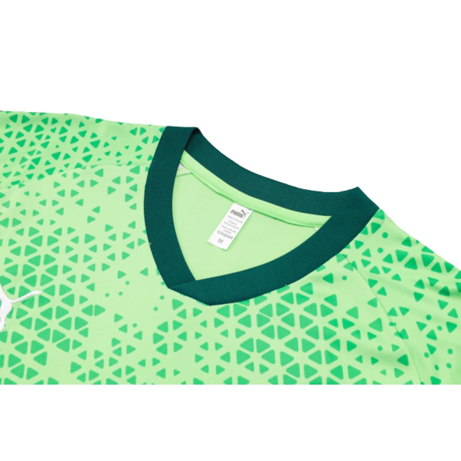 Equipamento de Treino - Palmeiras 24/25