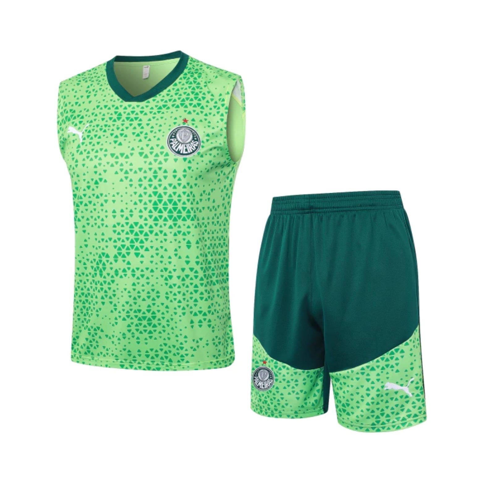 Equipamento de Treino - Palmeiras 24/25 - Manga Cava