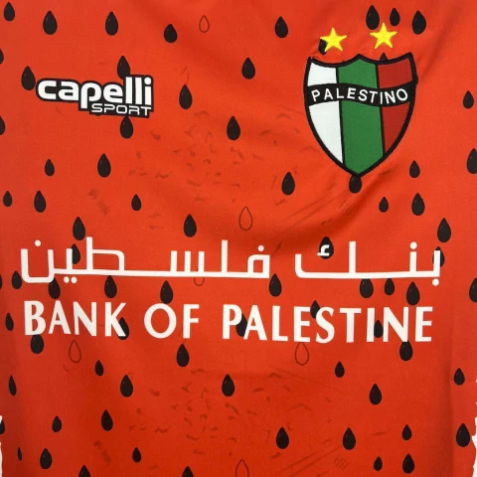 CD Palestino Terceiro 25/26