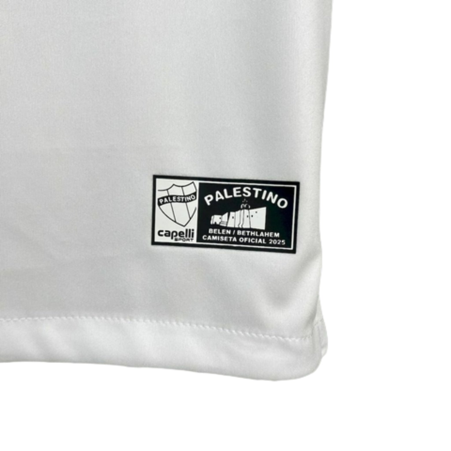 CD Palestino Principal 25/26