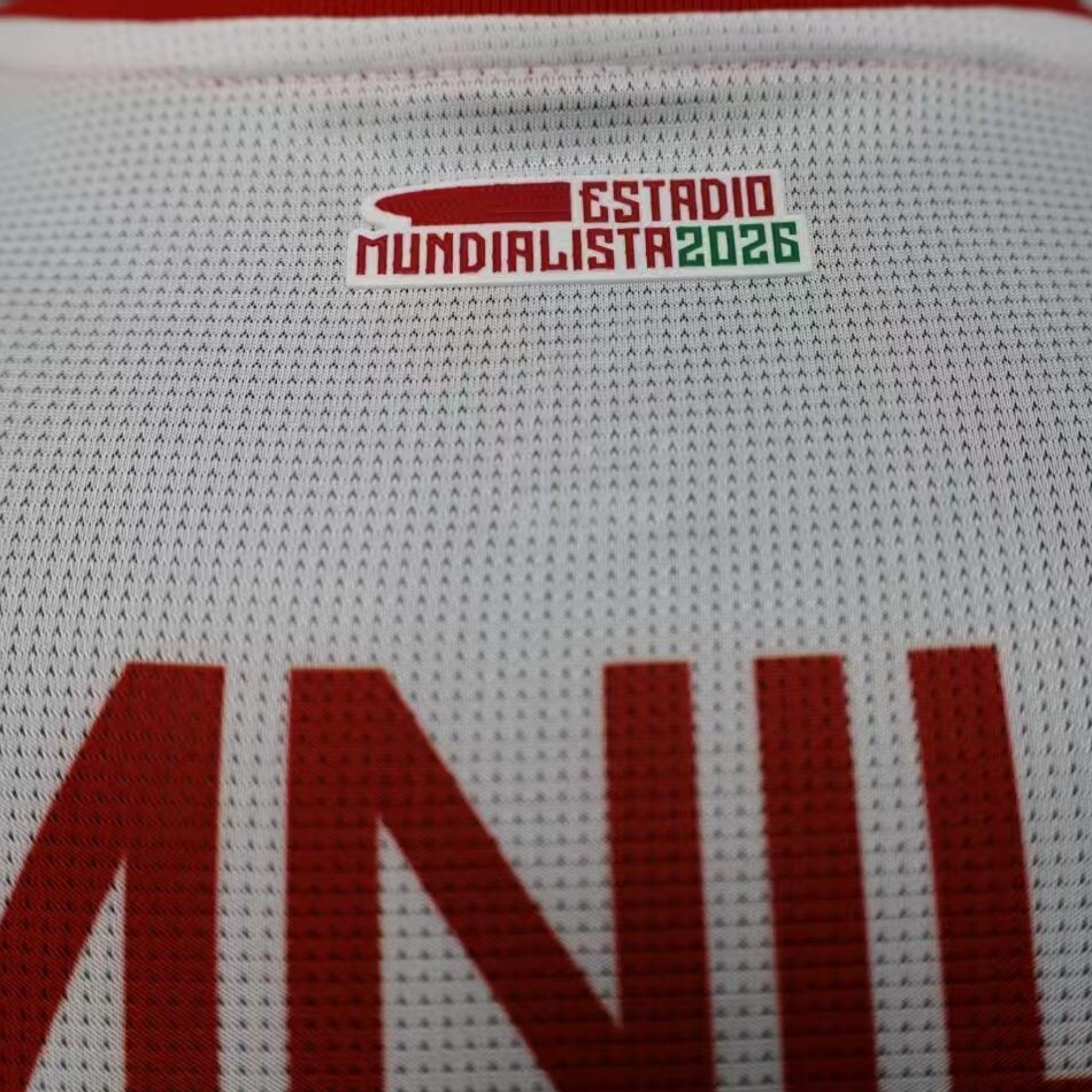 Chivas Guadalajara Alternativa 25/26 - Versão Jogador