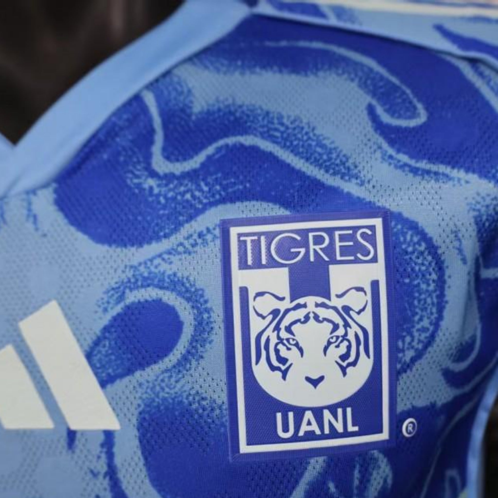 Tigres Alternativa 25/26 - Versão Jogador