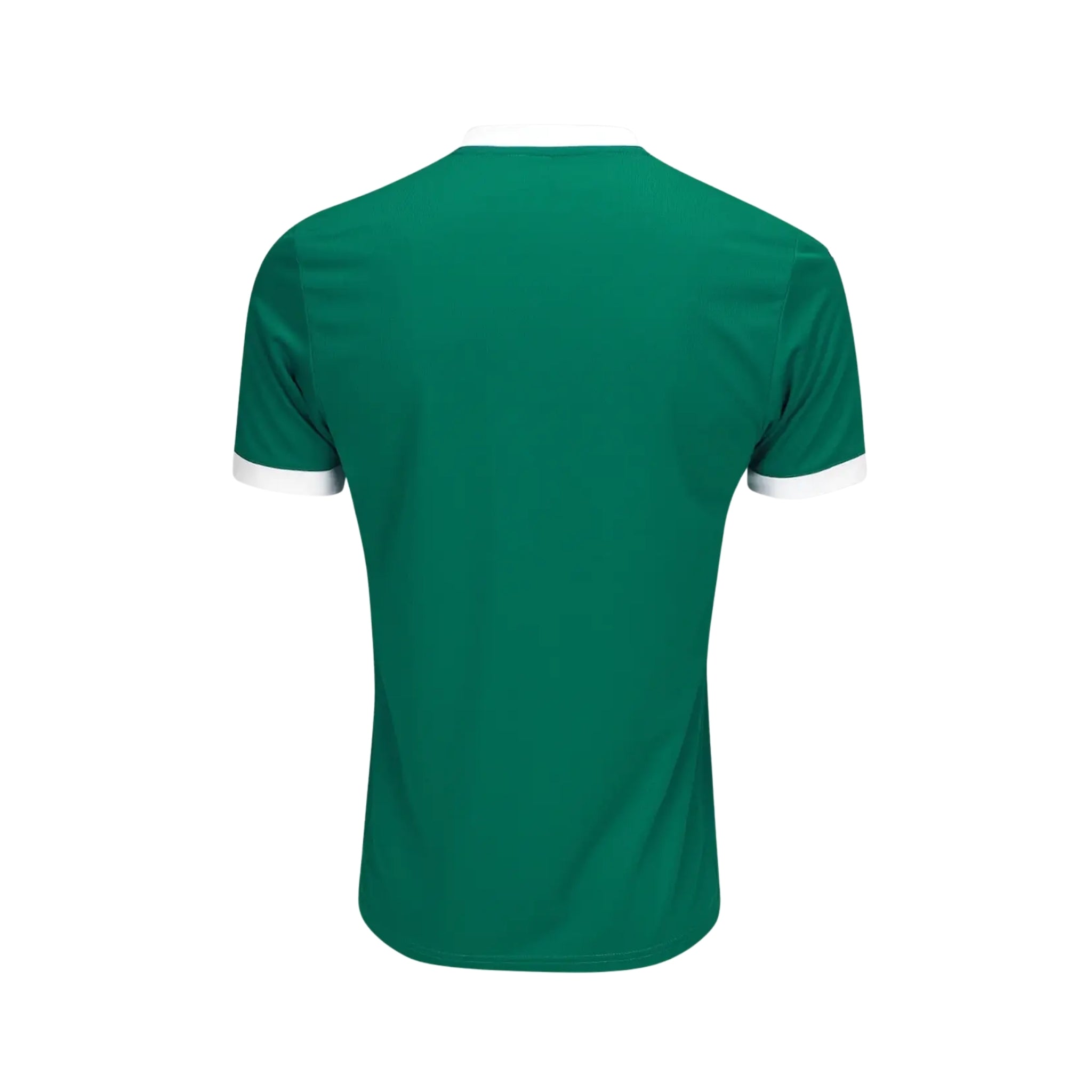 Palmeiras Principal 25/26