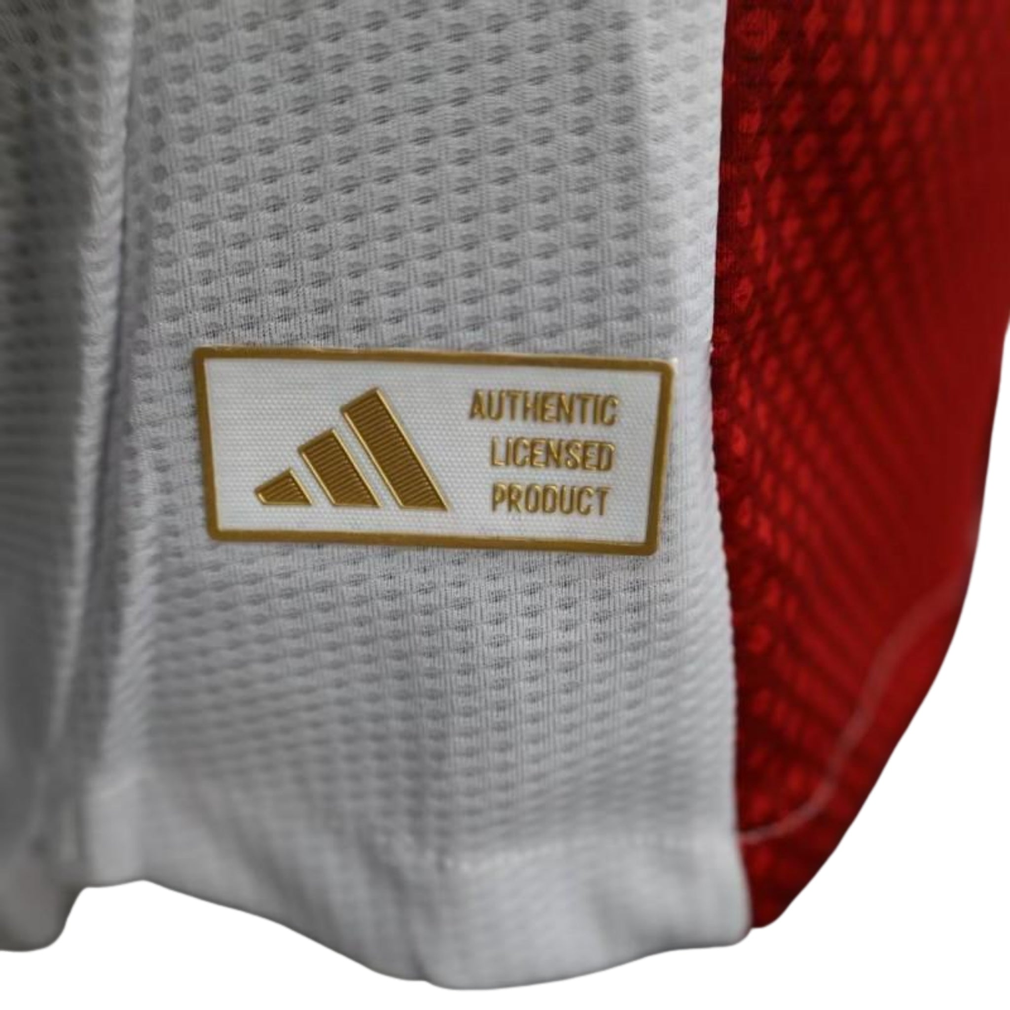 Ajax Principal 25/26 - Versão Jogador