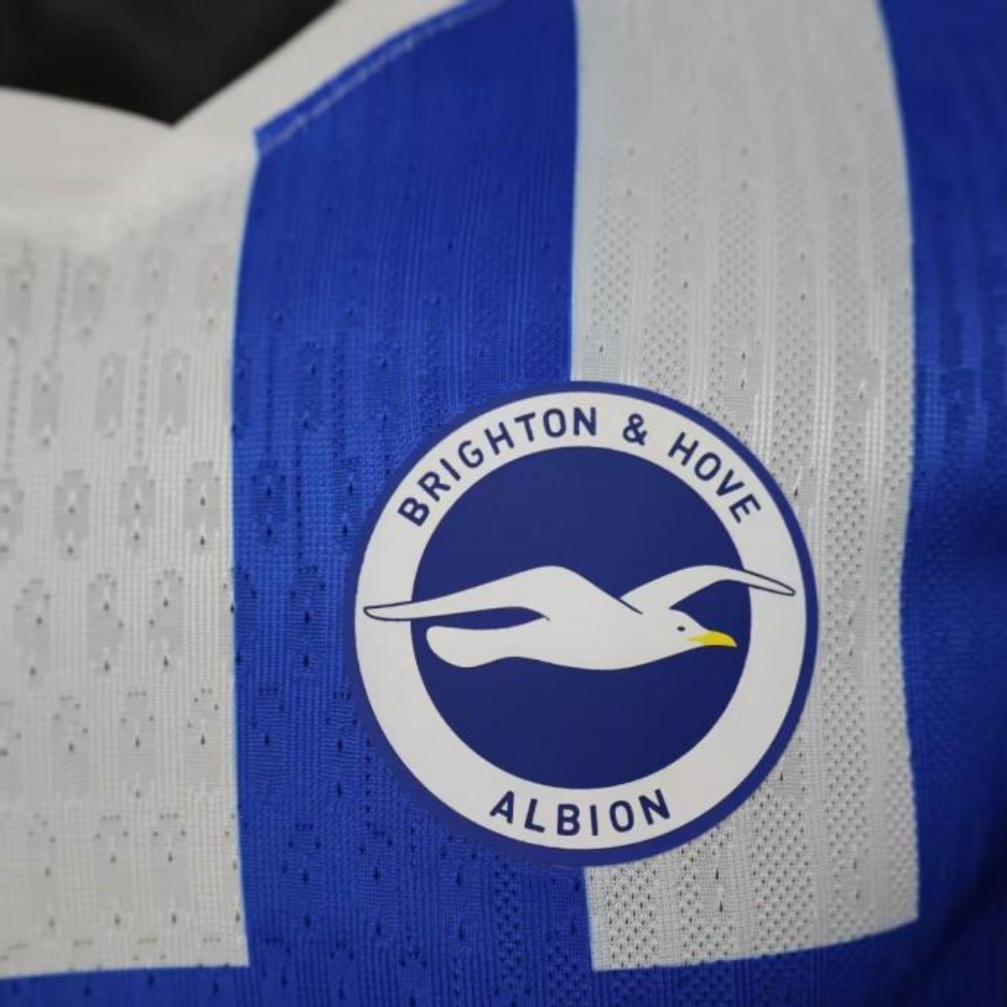 Brighton Principal 25/26 - Versão Jogador