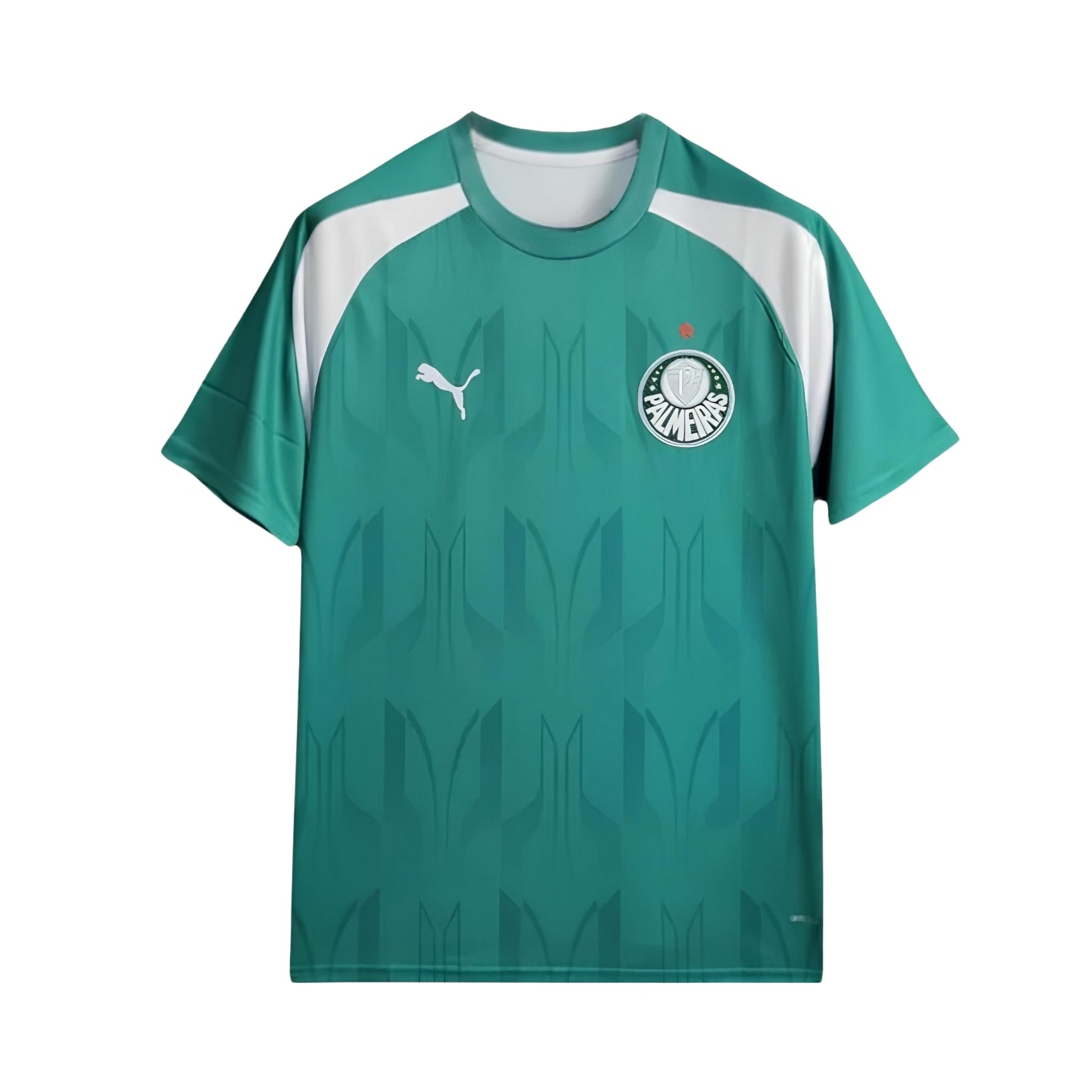 Palmeiras Treino 24/25