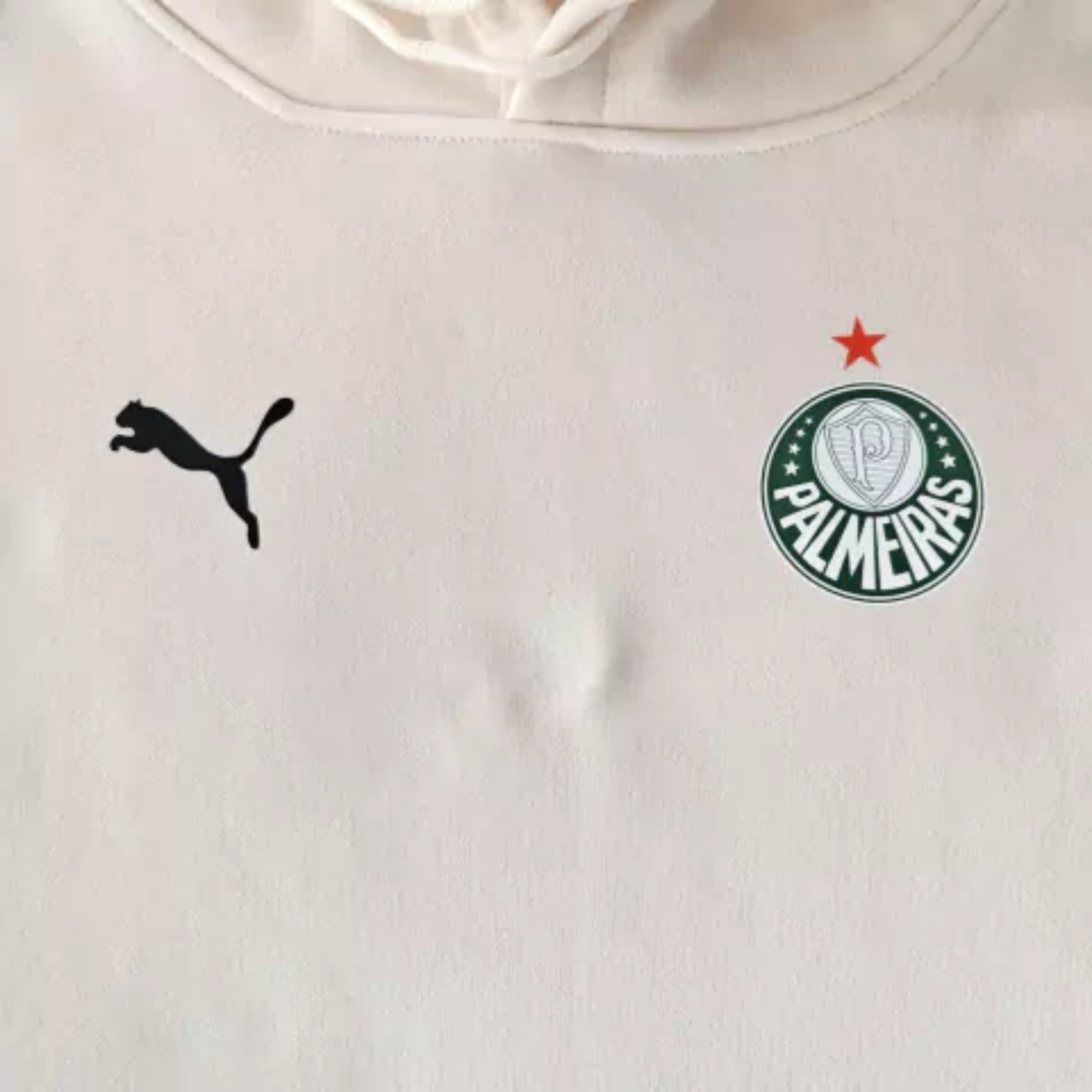 Palmeiras 25/26 - Sweat c/Capuz