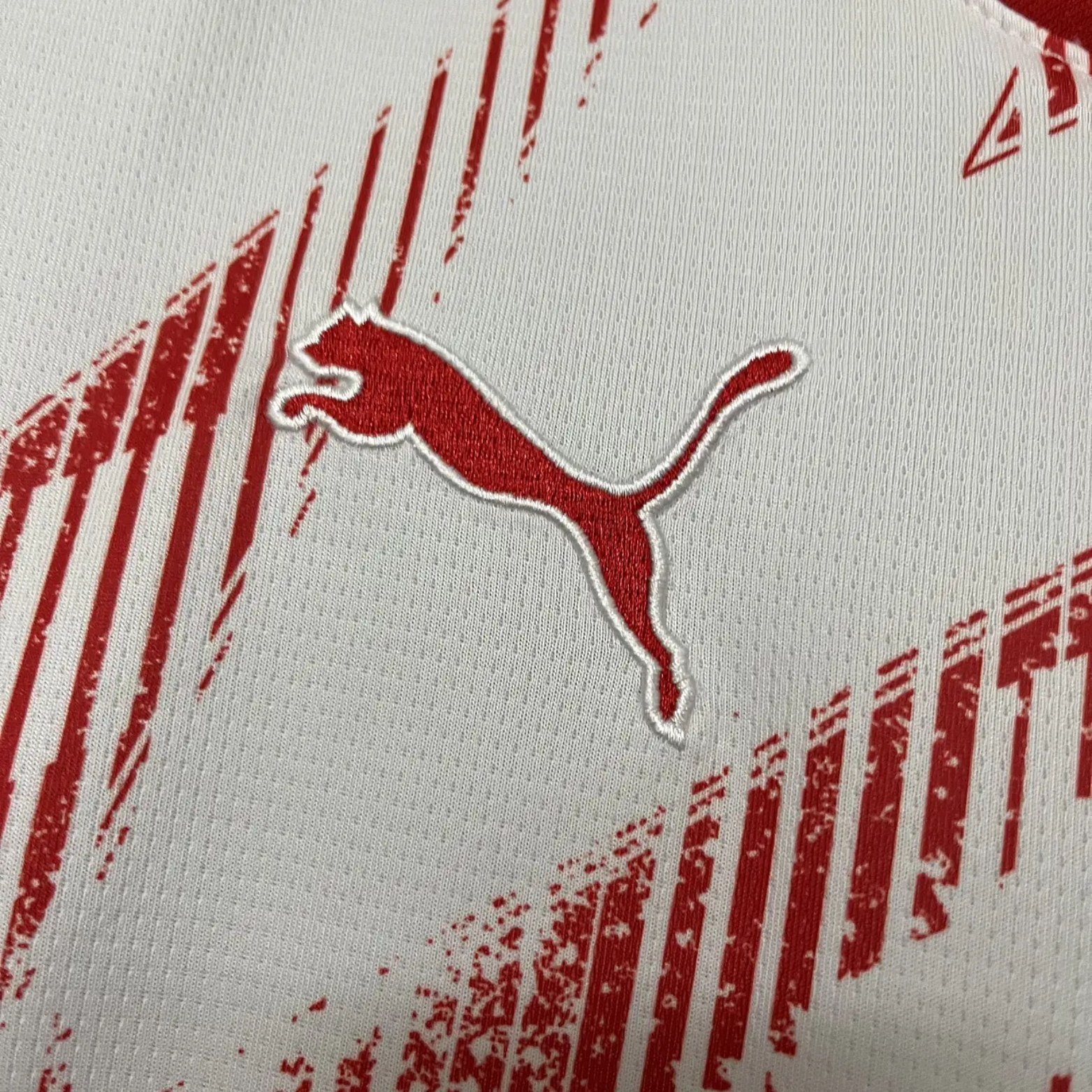 RB Leipzig Principal 24/25