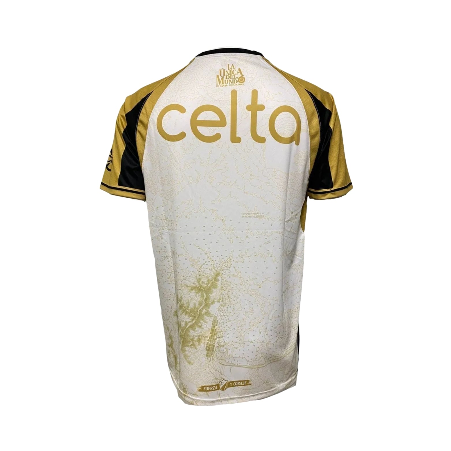 Coquimbo Unido Alternativa 25/26