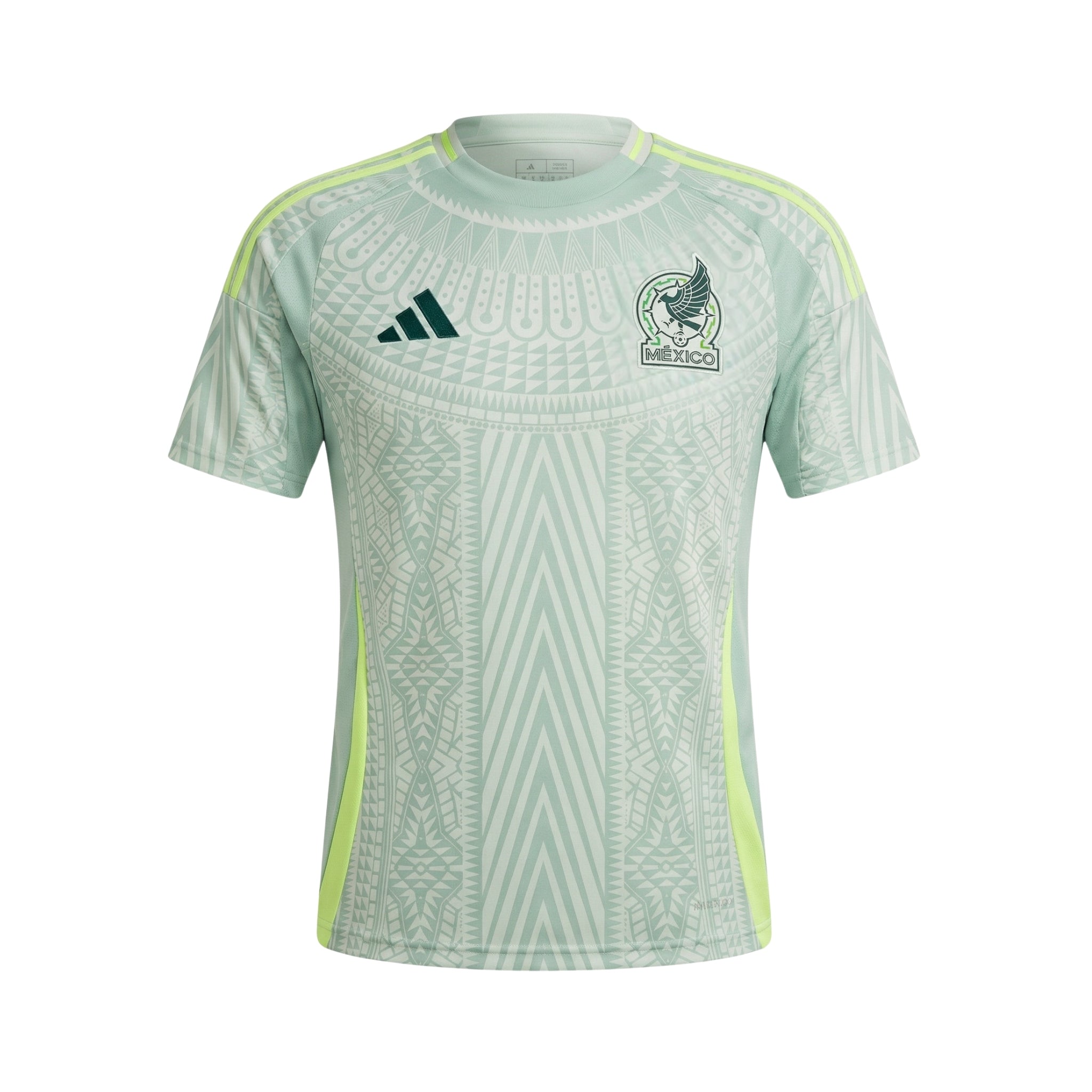 México Alternativa 24/25 - Copa América 2024
