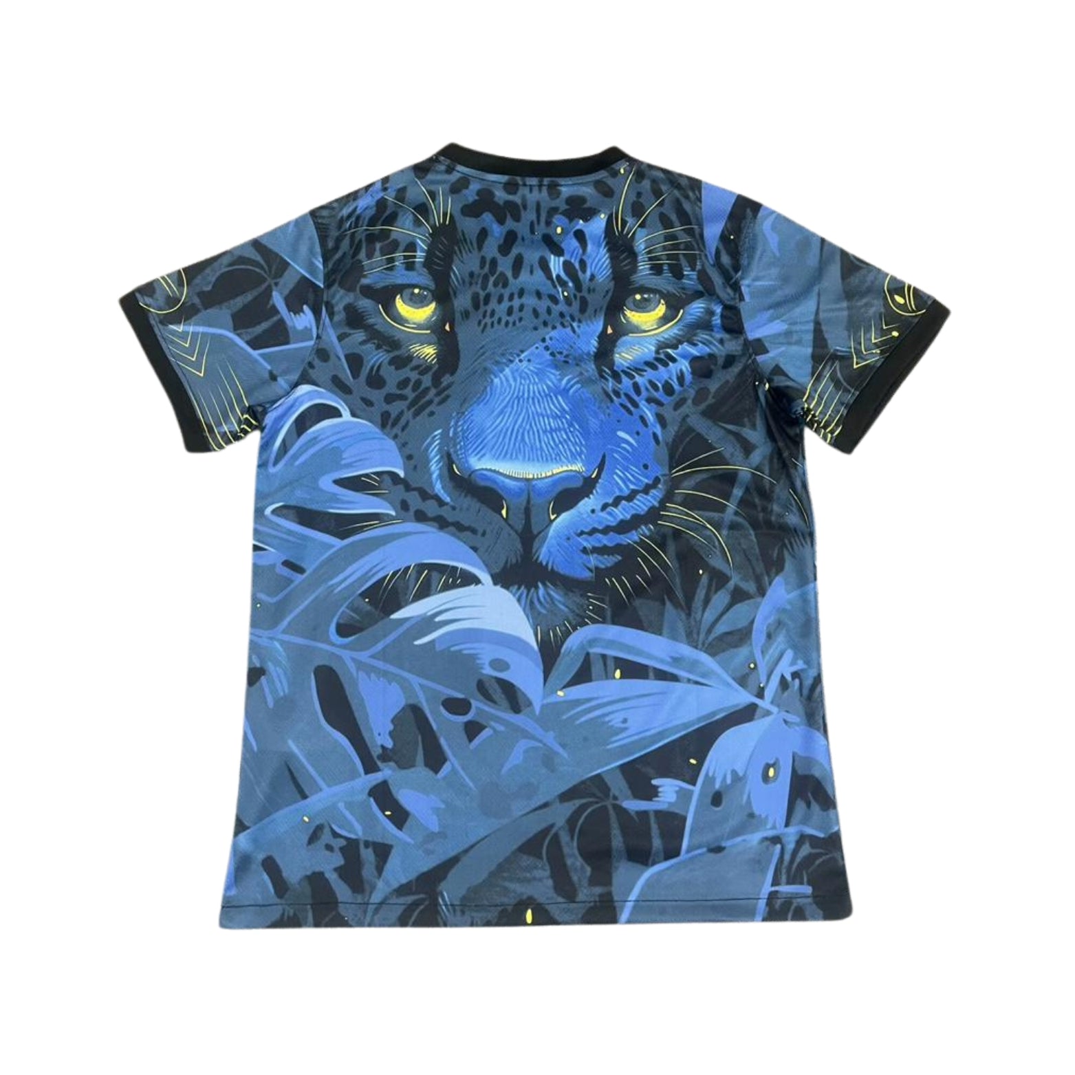 Brasil Edição Especial 24/25 - Copa América 2024