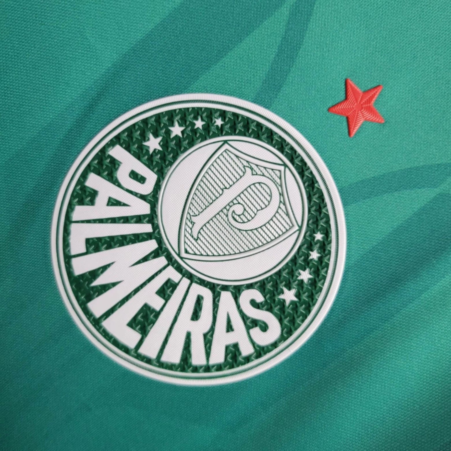 Palmeiras Treino 24/25
