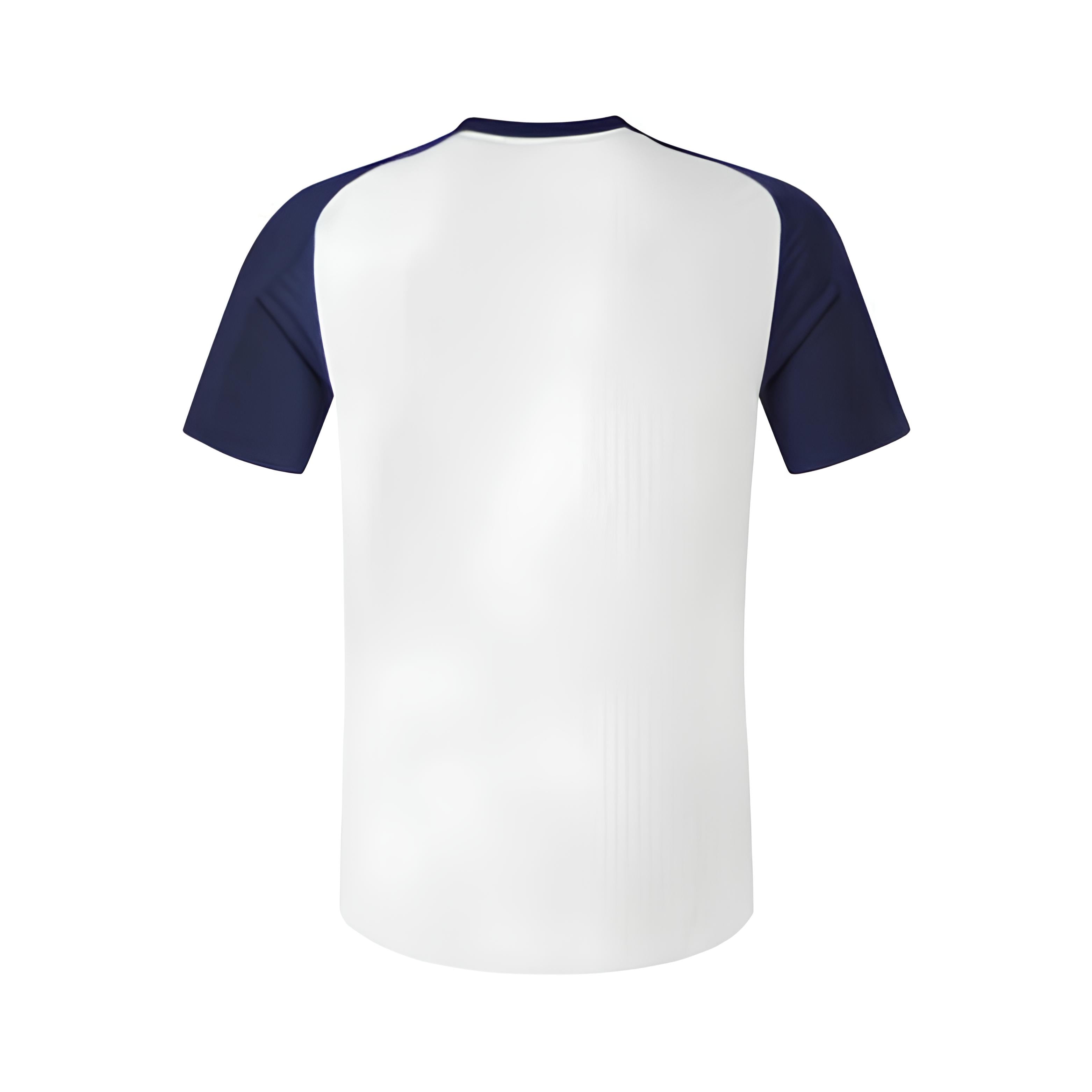 Olympique Lyonnais Treino 24/25