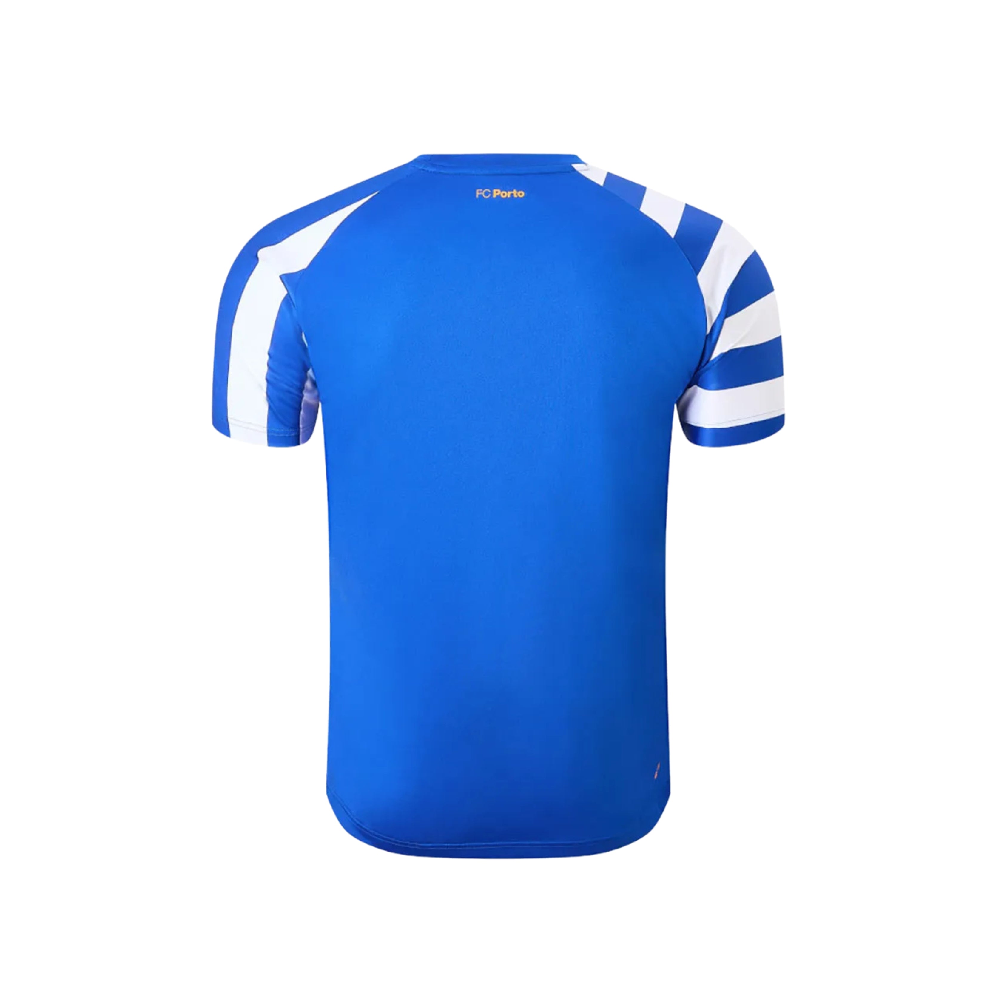 FC Porto Pré-Jogo 24/25